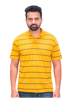 Picture of Pack of 5 Striped Polo Neck T-Shirt for Men